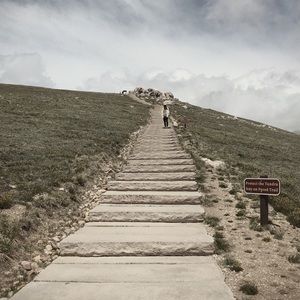 Meet your Posher, Cori